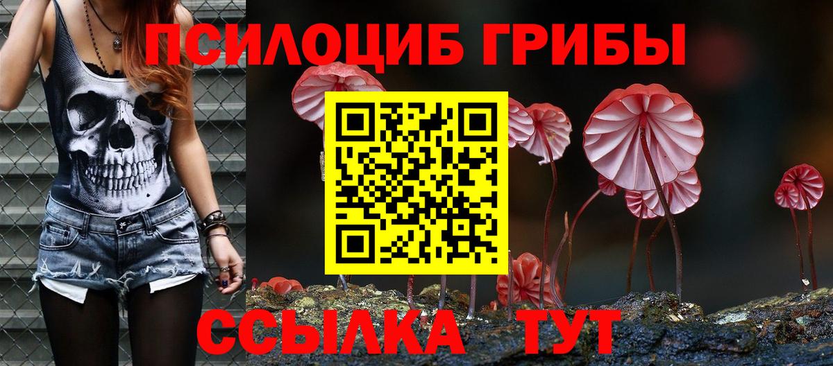 Псилоцибиновые грибы Psilocybine cubensis  Вход с VPN  Саратов  Псилоцибиновые грибы GOLDEN TEACHER 